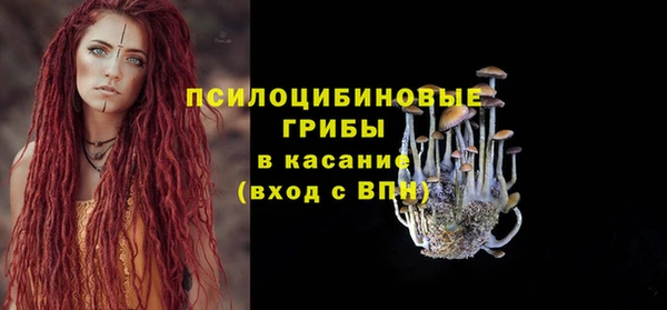 прущий лед Алзамай