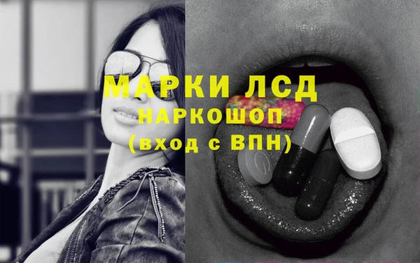 прущий лед Алзамай