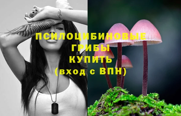 наркотики Алексин